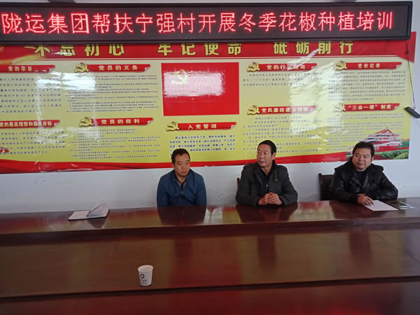 隴運集團(tuán)公司積極開展寧強村冬季花椒養(yǎng)護(hù)培訓(xùn)